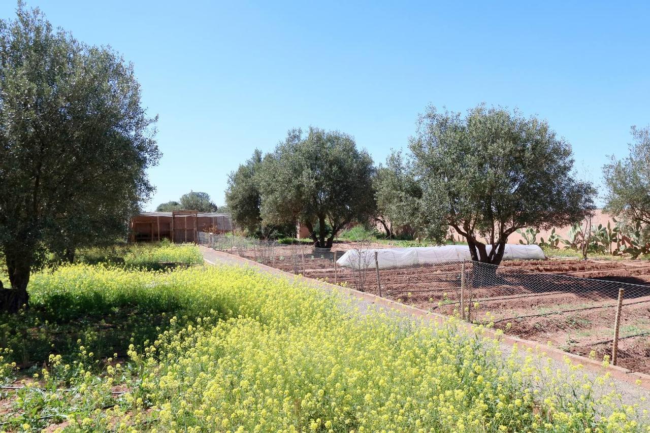 Villa Kristy مراكش المظهر الخارجي الصورة