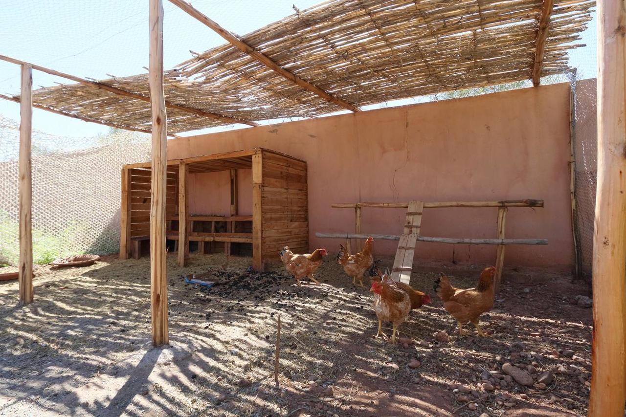 Villa Kristy مراكش المظهر الخارجي الصورة